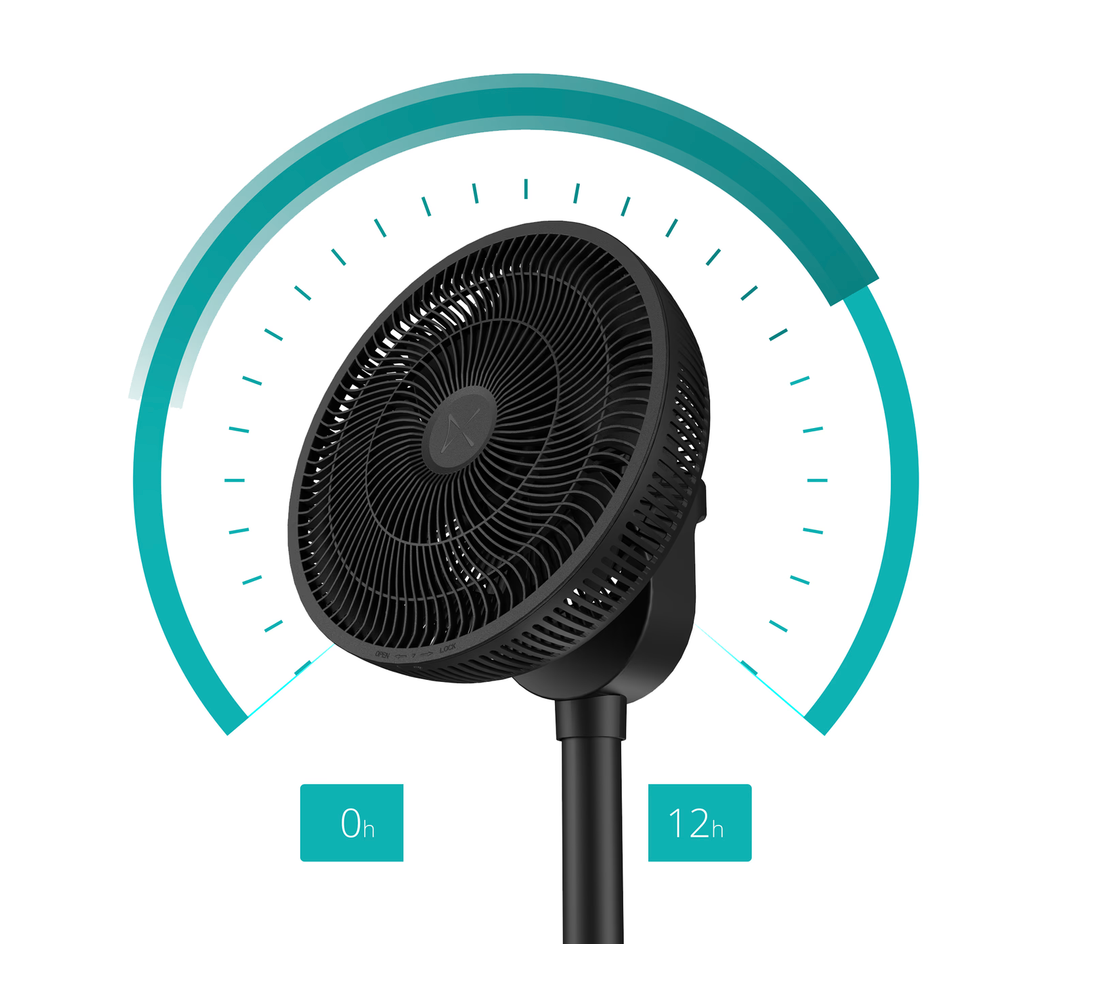 Duux Whisper Flex 2 Smart Black